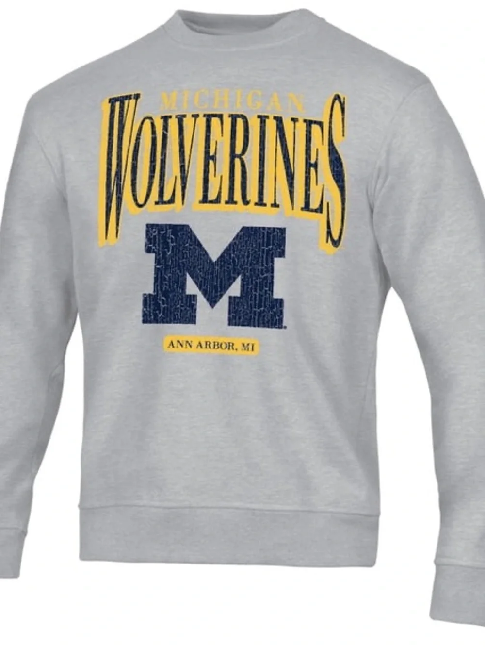 Champion Gray Crewneck Sweatshirt with Yellow & Navy Collegiate Print